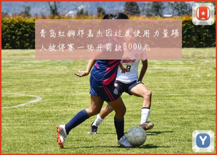 青岛红狮邓嘉杰因过度使用力量踢人被停赛一场并罚款5000元