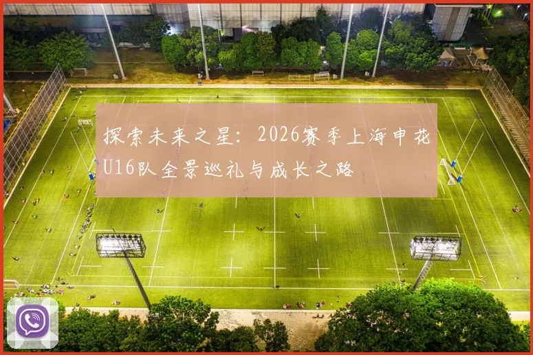 探索未来之星：2026赛季上海申花U16队全景巡礼与成长之路
