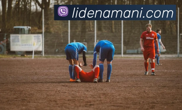 App Interface Preview